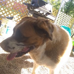 Meet your Posher, Nathan